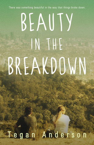 Beauty in the Breakdown by Tegan Anderson book cover