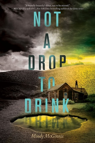 Not a Drop to Drink by Mindy McGinnis book cover
